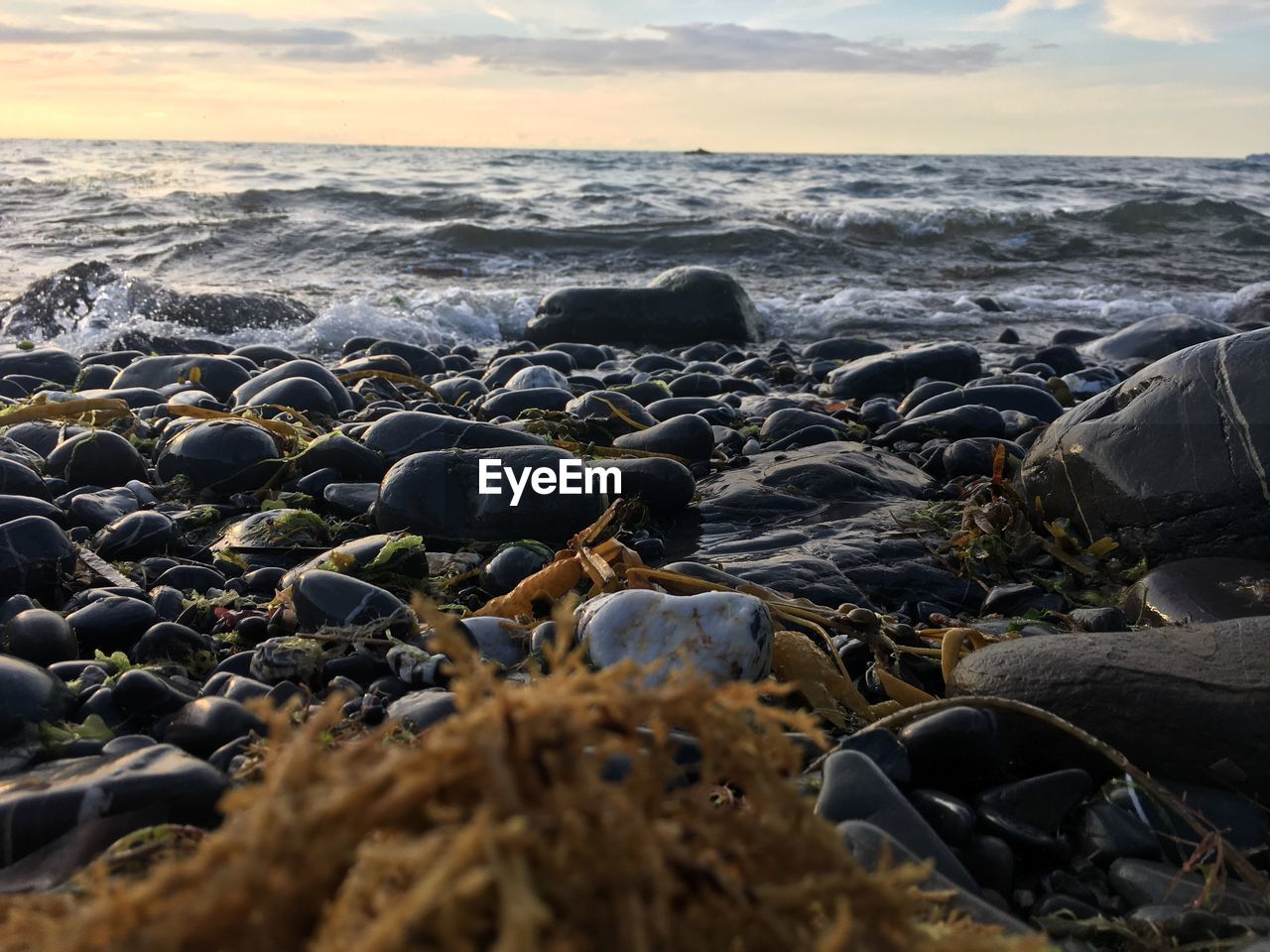 ROCKS ON SHORE AT BEACH