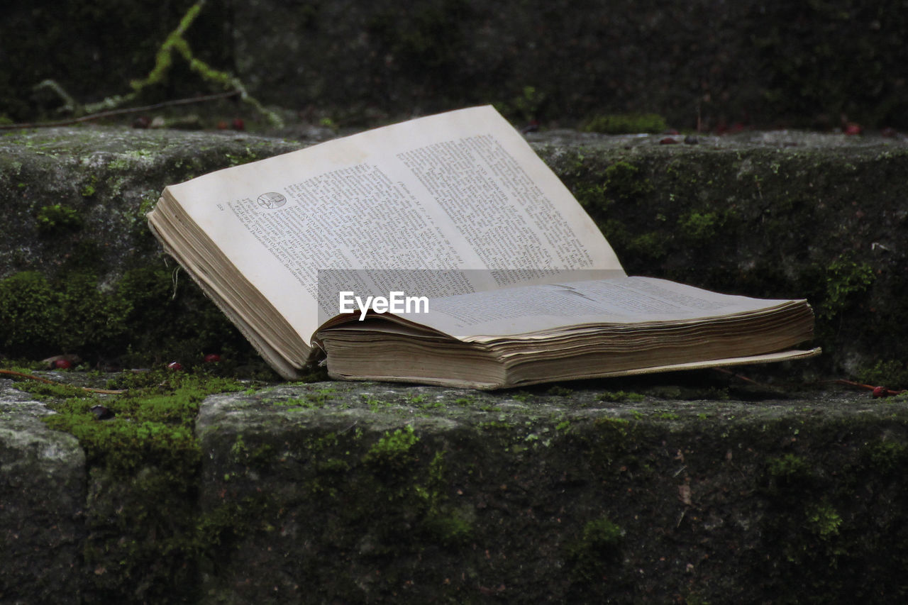 CLOSE-UP OF OPEN BOOK ON PLANTS