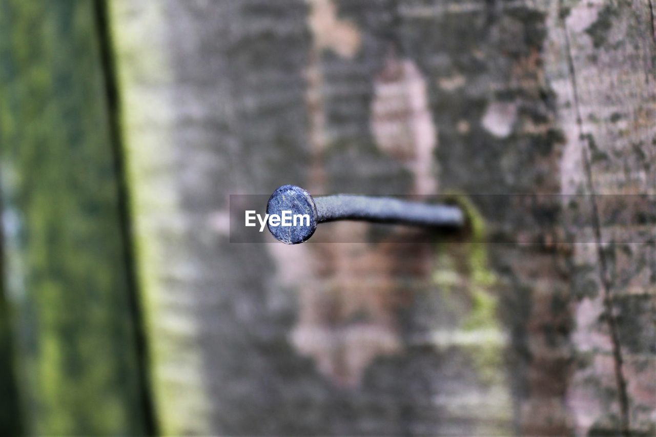 CLOSE-UP OF BLACK AND WHITE WALL AGAINST TREES