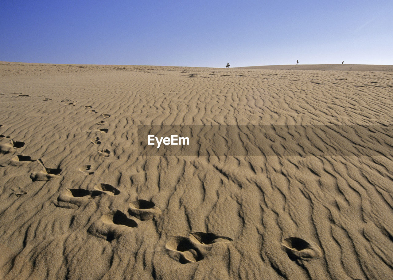 Scenic view of sand dunes against clear sky