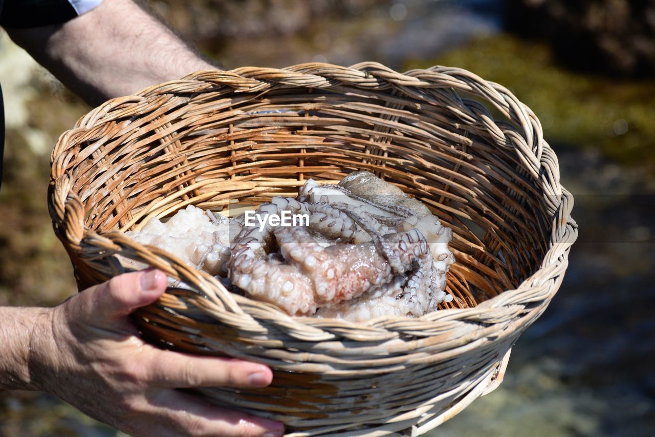 Cropped hand holding octopus in wicker basket