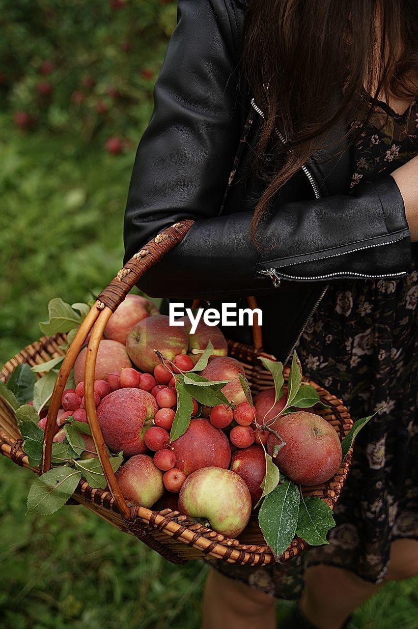 Woman holding apples in basket on field