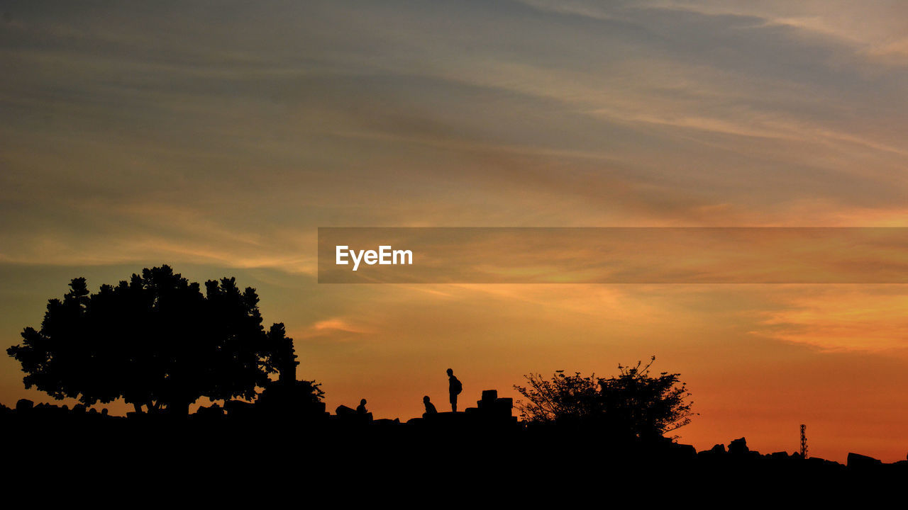 SILHOUETTE OF TREE AGAINST ORANGE SKY