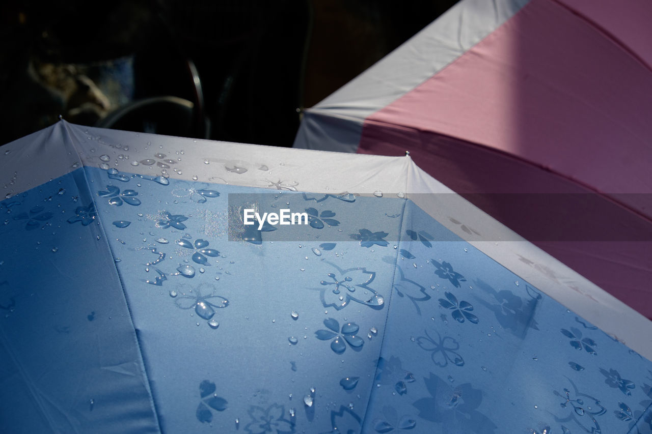 Close-up of wet umbrella during rainy season