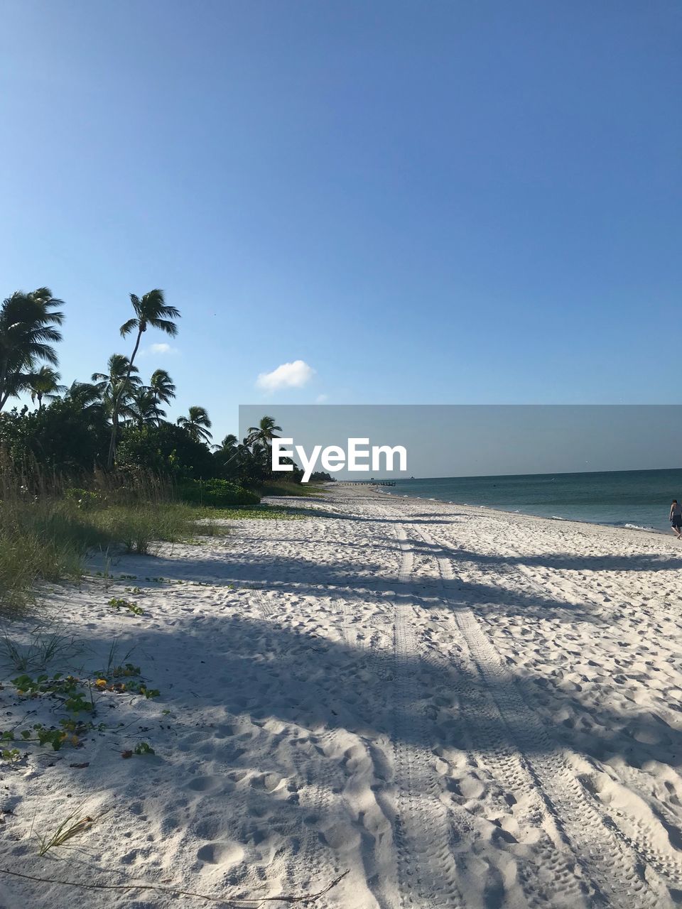 Scenic view of beach against clear sky