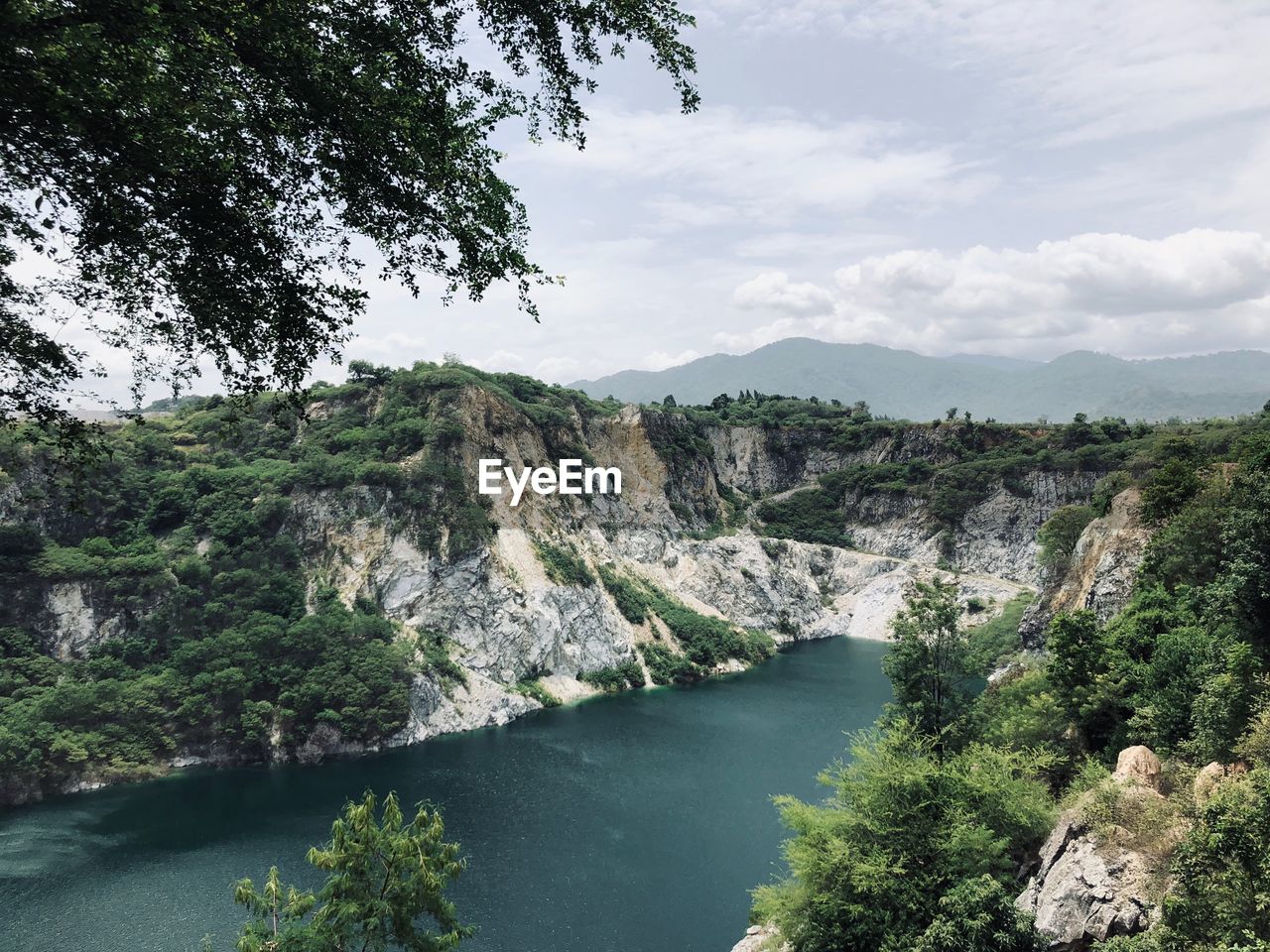 Scenic view of river amidst trees against sky