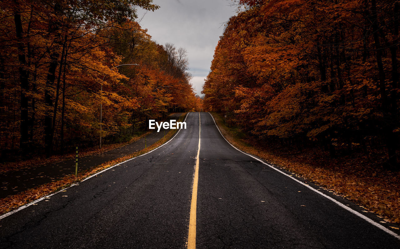 Empty road along trees during autumn