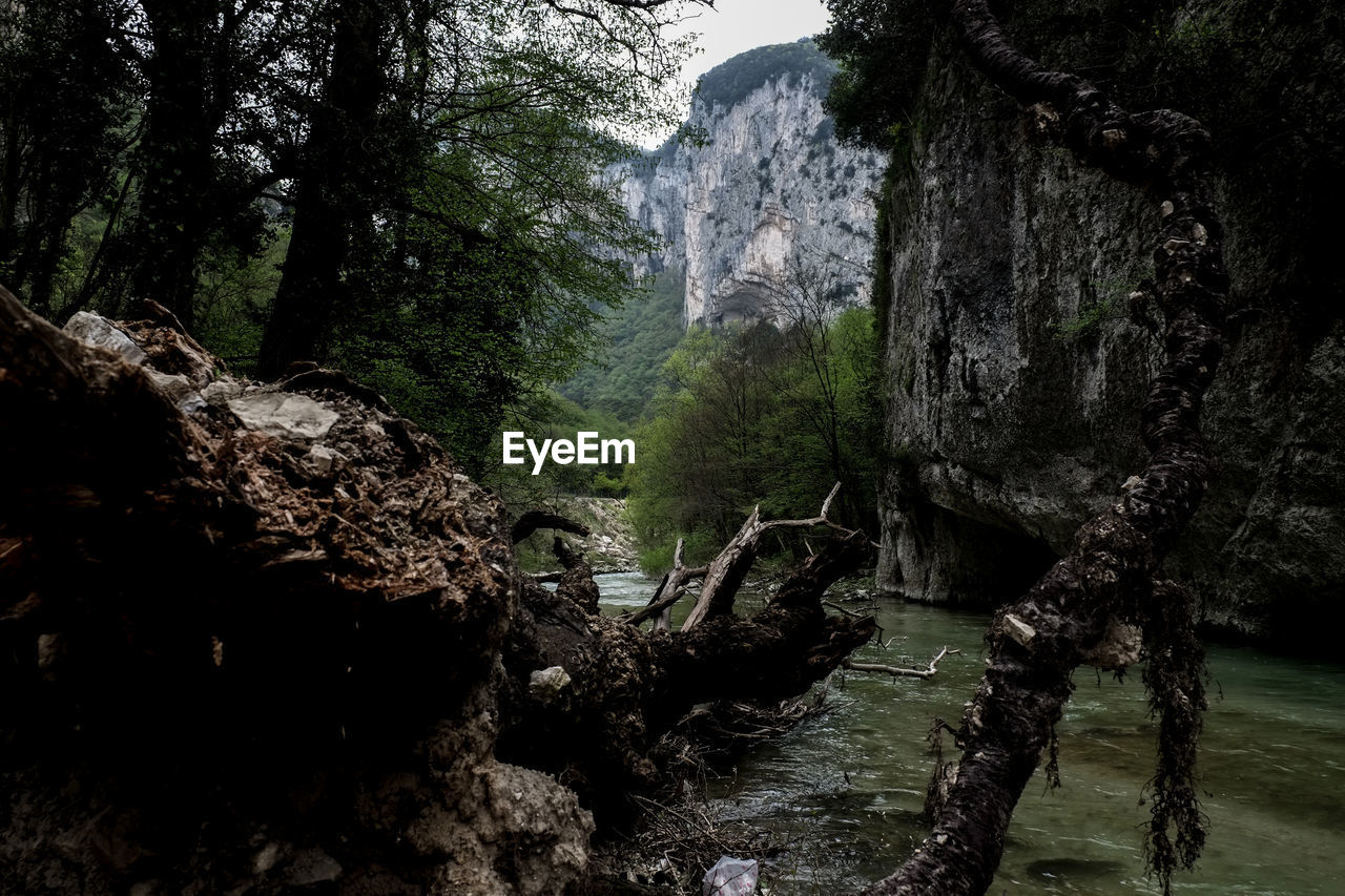 Rock formation by river at forest