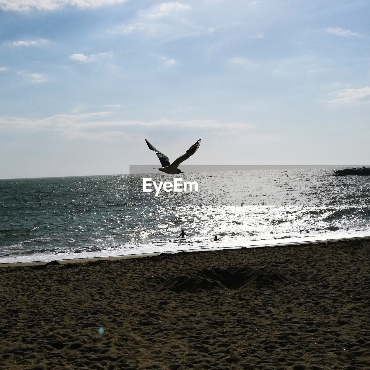 FLOCK OF BIRDS FLYING OVER SEA AGAINST SKY