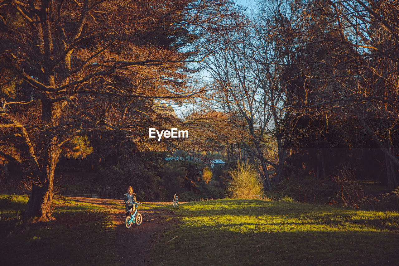 MAN RIDING BICYCLE ON FIELD BY TREES