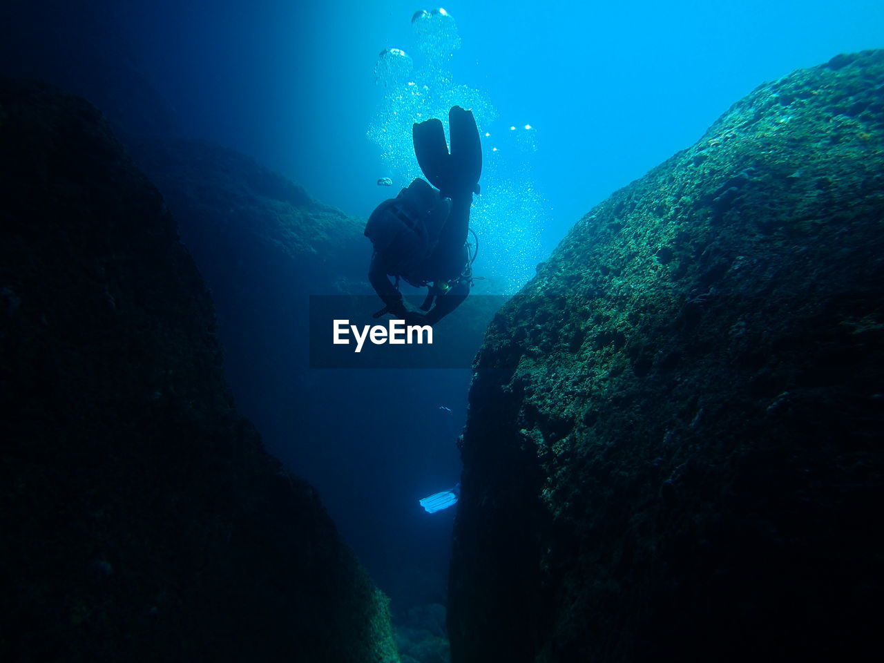 Person swimming in sea