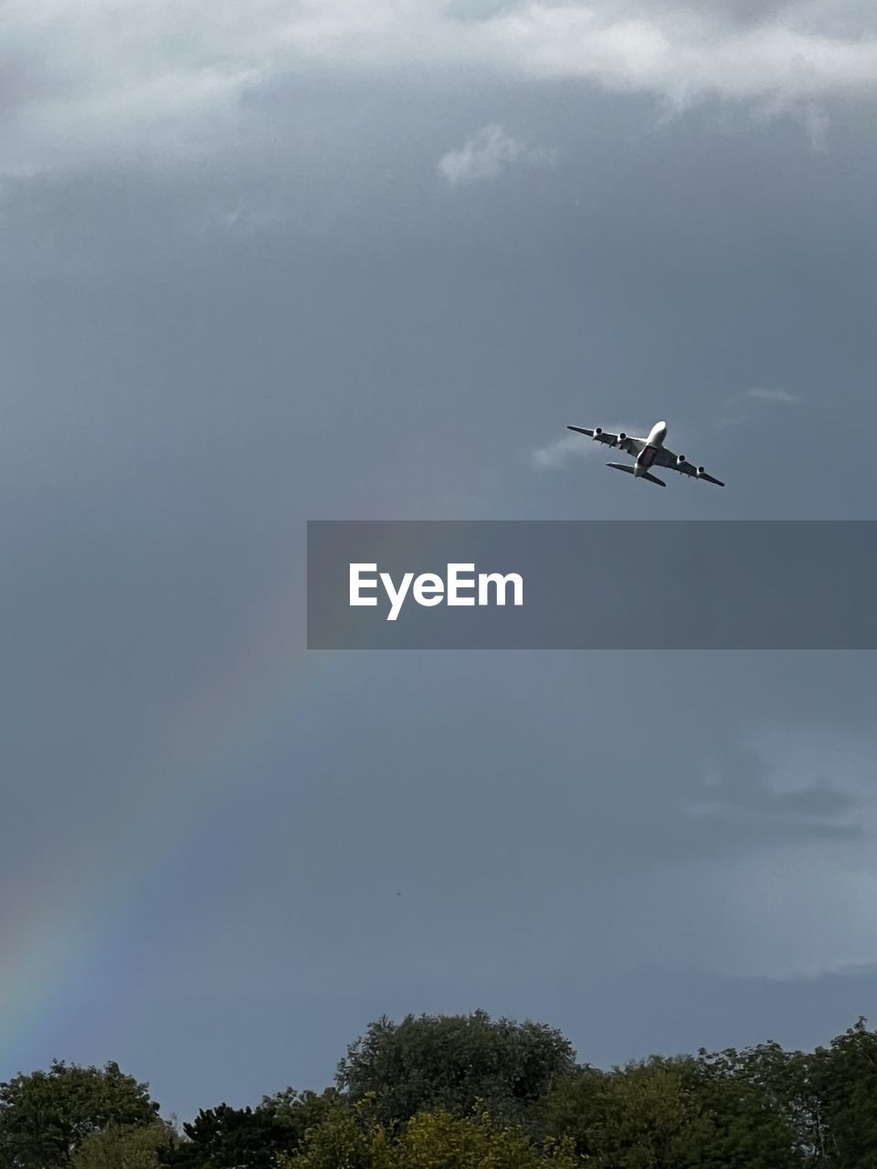 flying, sky, nature, tree, cloud, low angle view, mid-air, day, air vehicle, beauty in nature, plant, outdoors, no people, motion, transportation, one animal, animal wildlife, vehicle, airplane, environment, wildlife, animal themes, bird