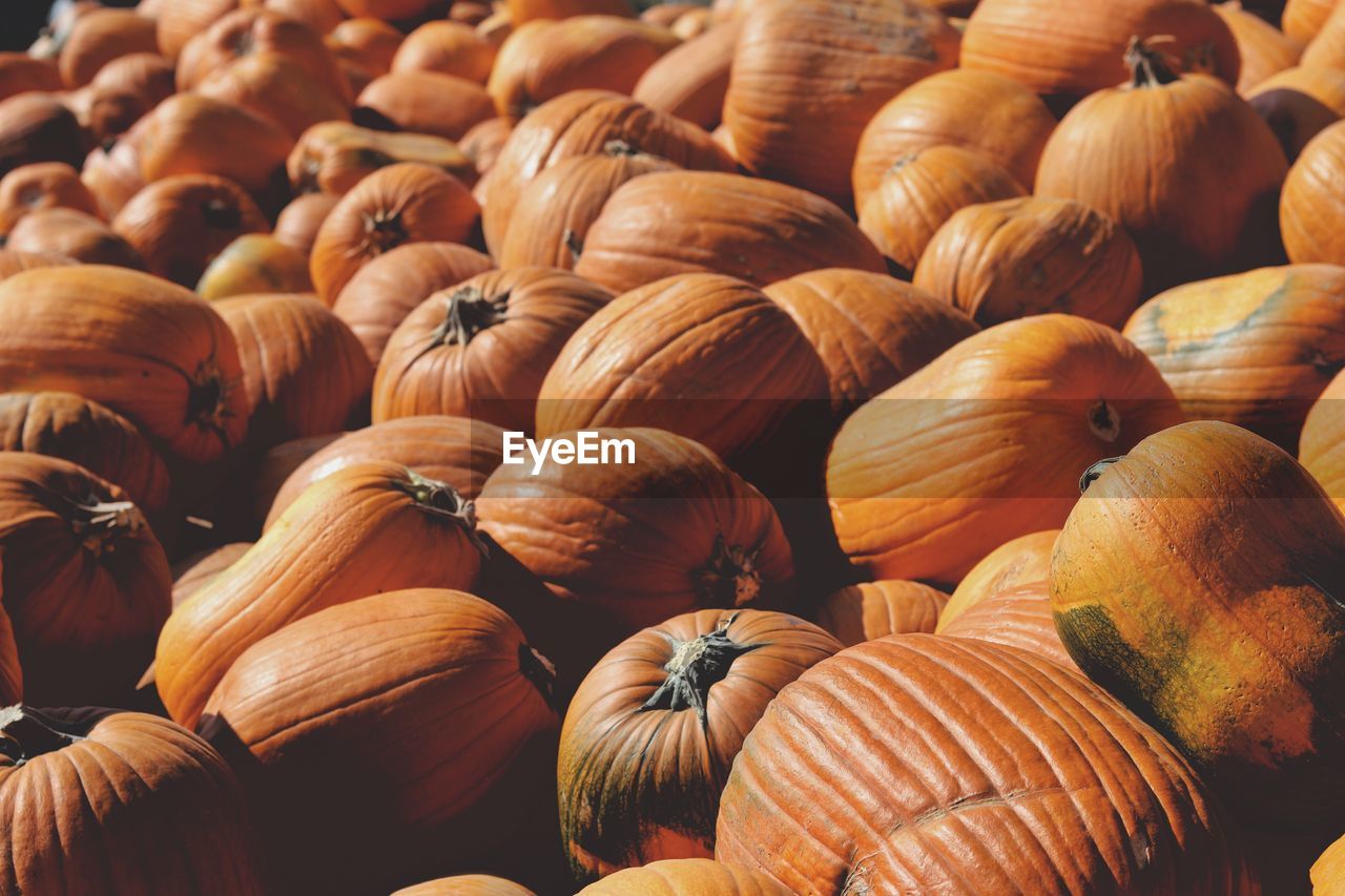 Full frame shot of pumpkins for sale in market