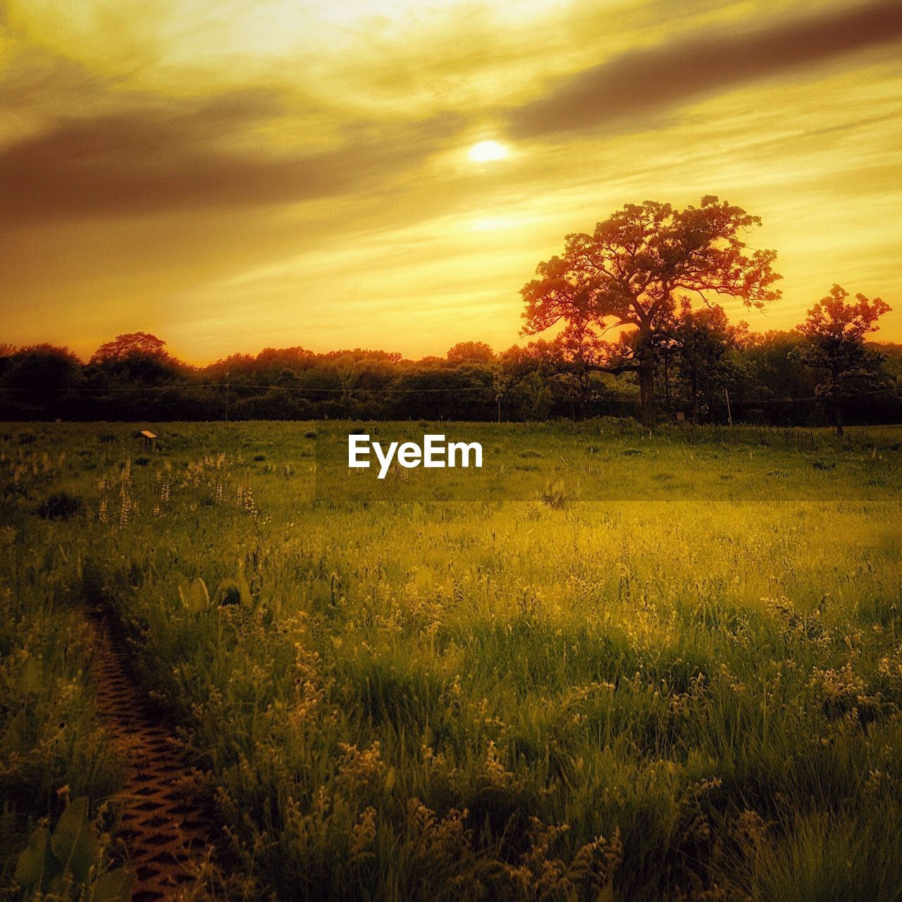 SCENIC VIEW OF LANDSCAPE AGAINST DRAMATIC SKY