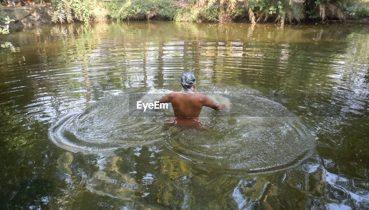 Rear view of man swimming in lake