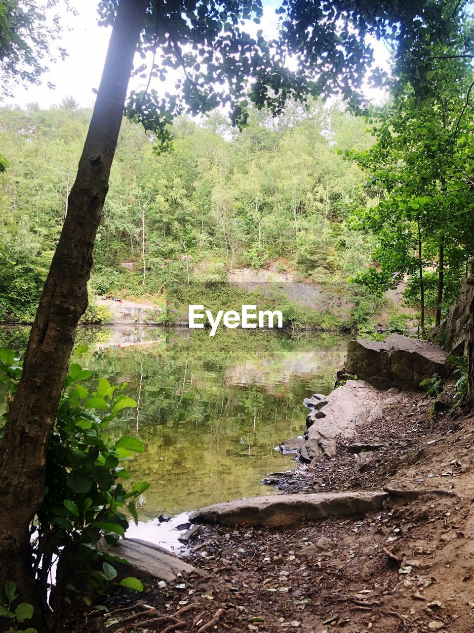 SCENIC VIEW OF WATERFALL