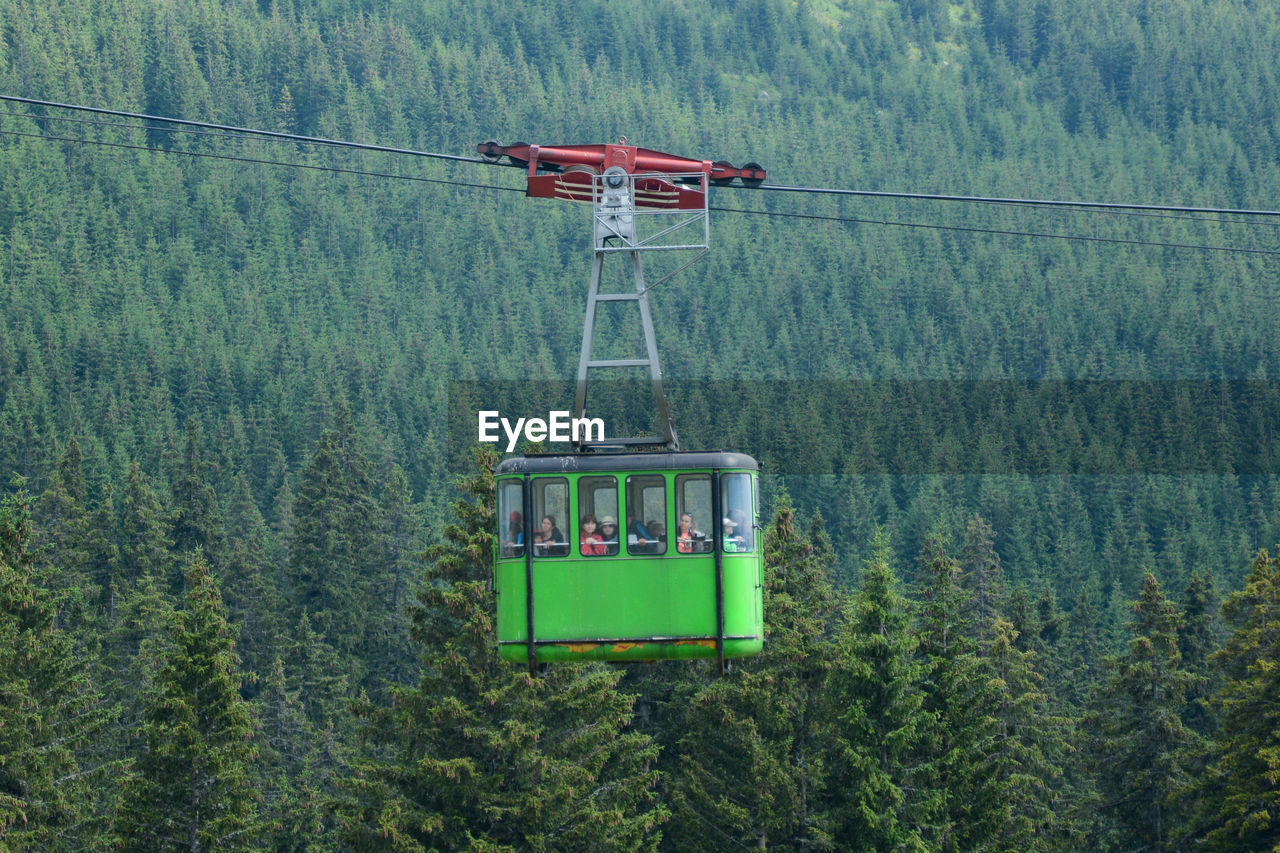 VIEW OF SKI LIFT IN FOREST