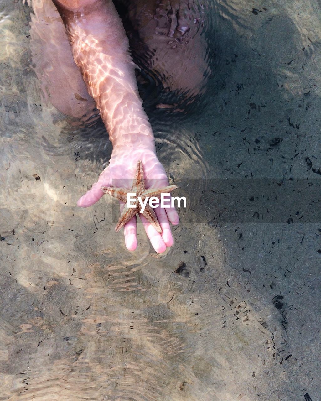 Cropped hand of woman holding starfish in sea