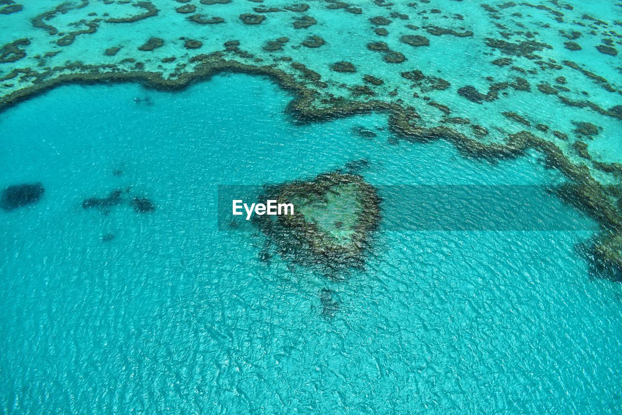 Heart shaped coral reef in the great barrier reef