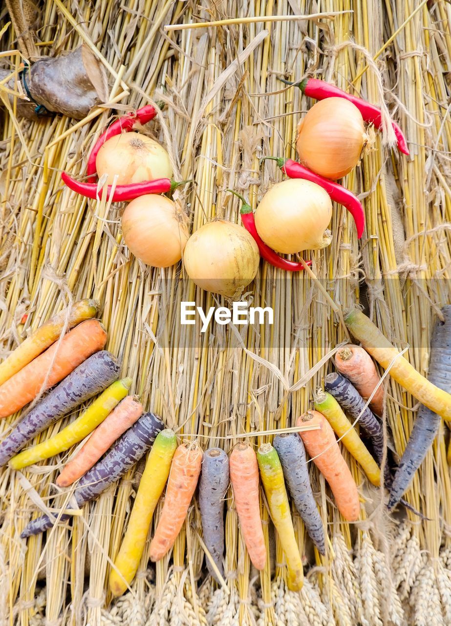 HIGH ANGLE VIEW OF VEGETABLES ON CORN