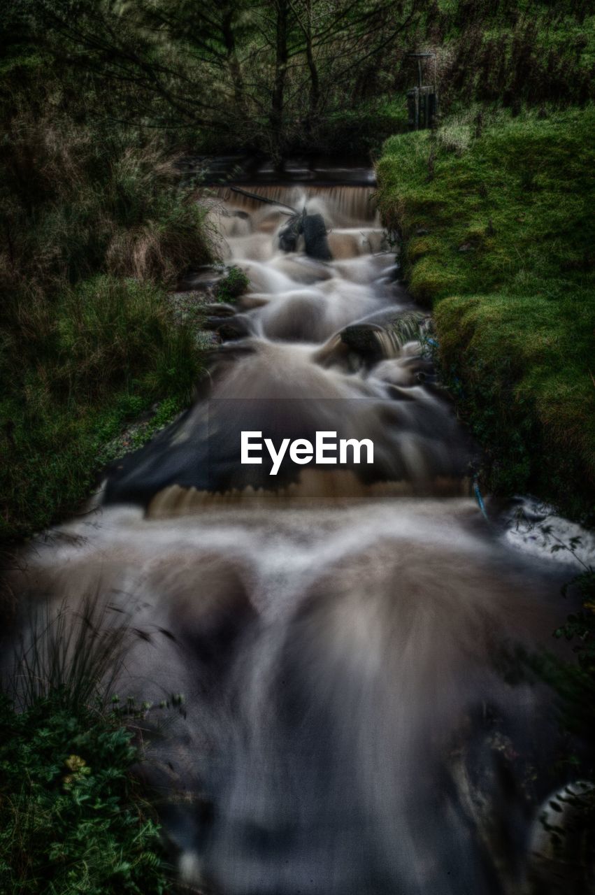 WATERFALL IN FOREST