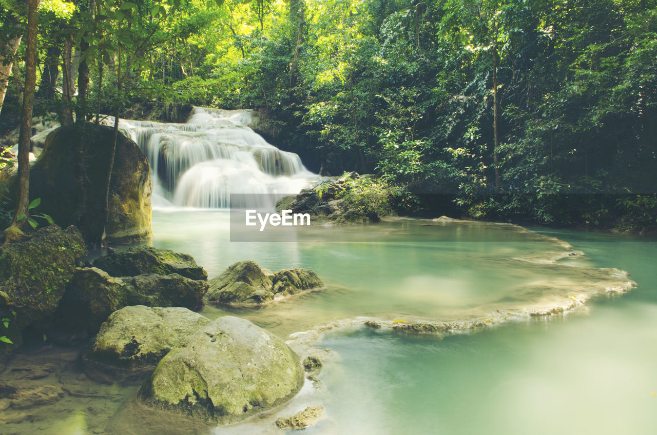 SCENIC VIEW OF WATERFALL AGAINST TREES