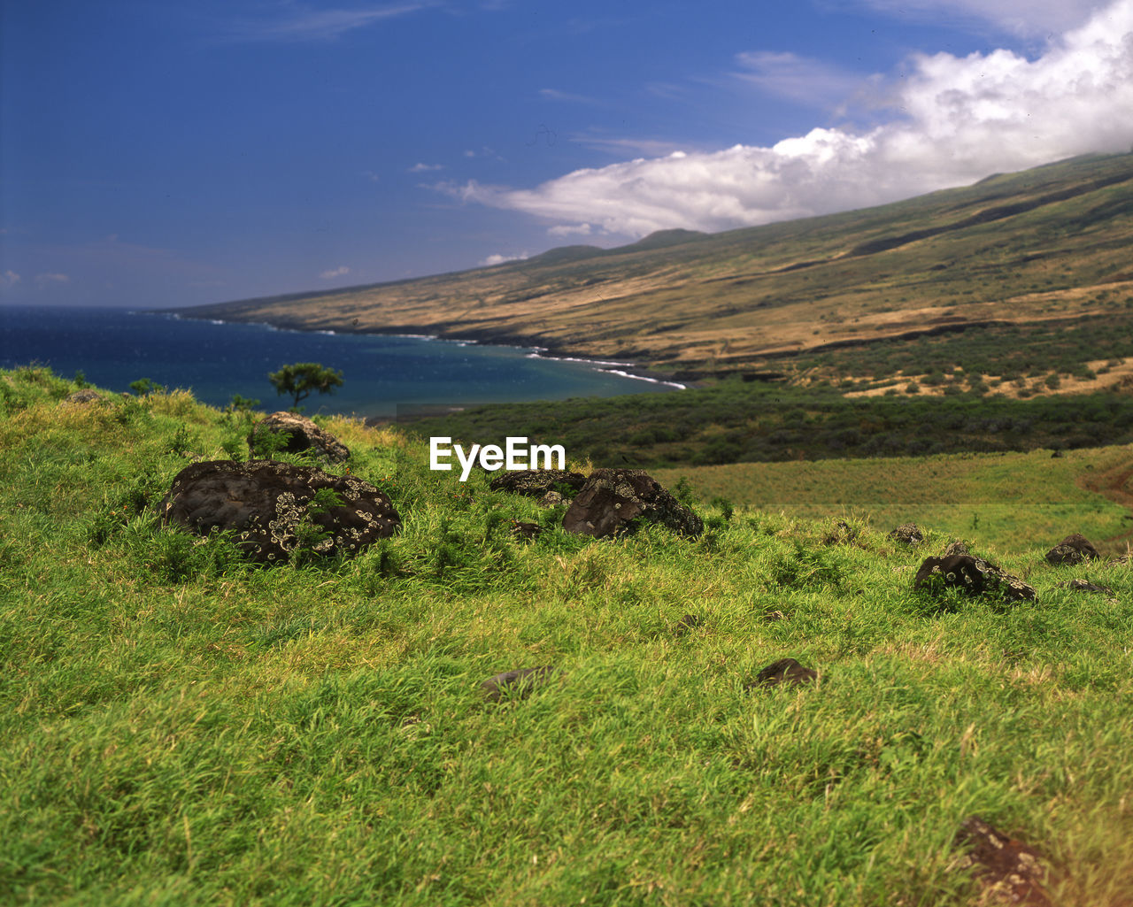 Scenic view of green landscape and mountains against sky