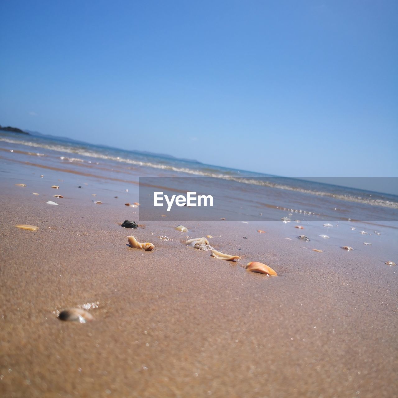 Scenic view of beach against clear sky