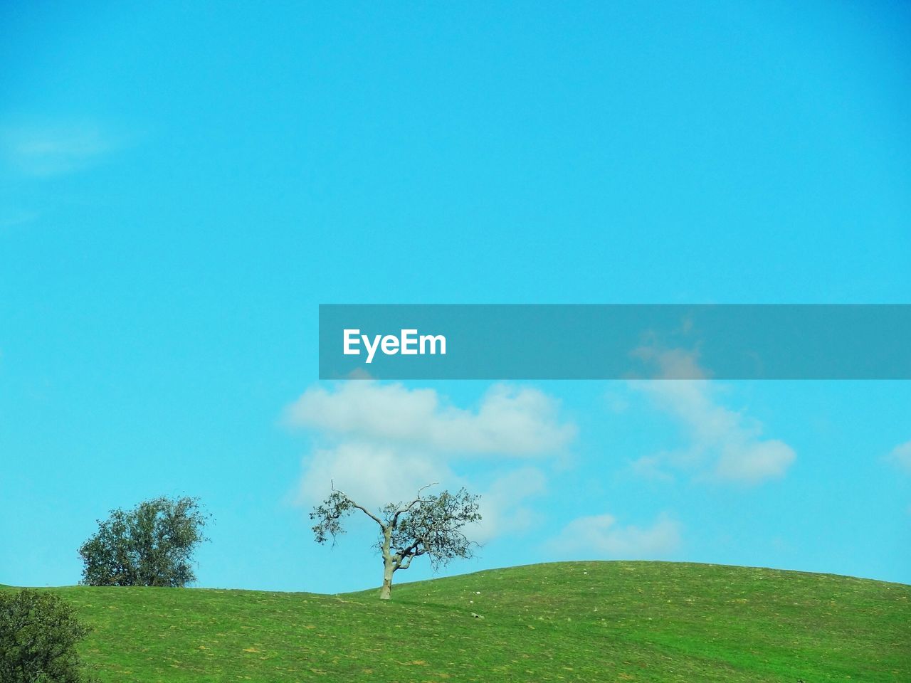 Scenic view of grassy field against blue sky