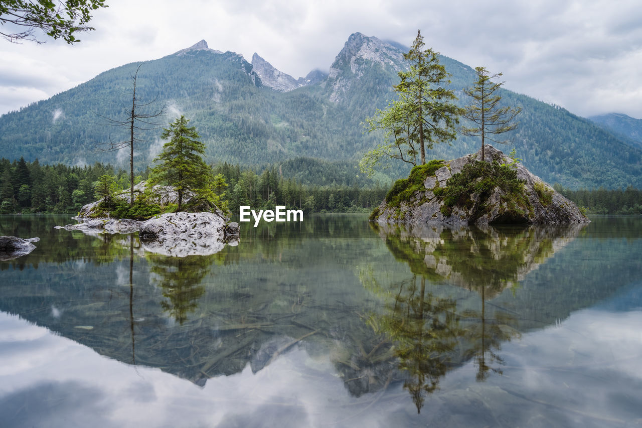 SCENIC VIEW OF LAKE BY TREES AGAINST SKY