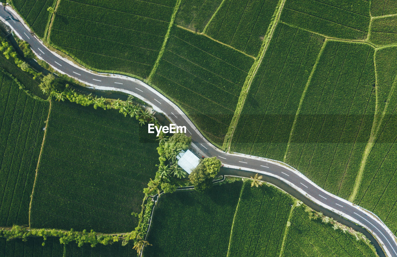 Aerial view of road and agricultural field