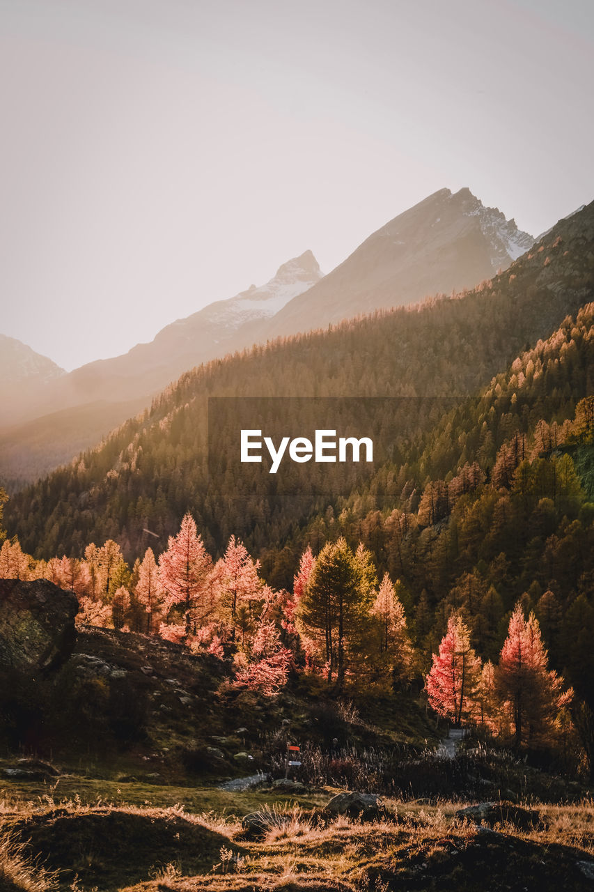 Scenic view of mountains against clear sky