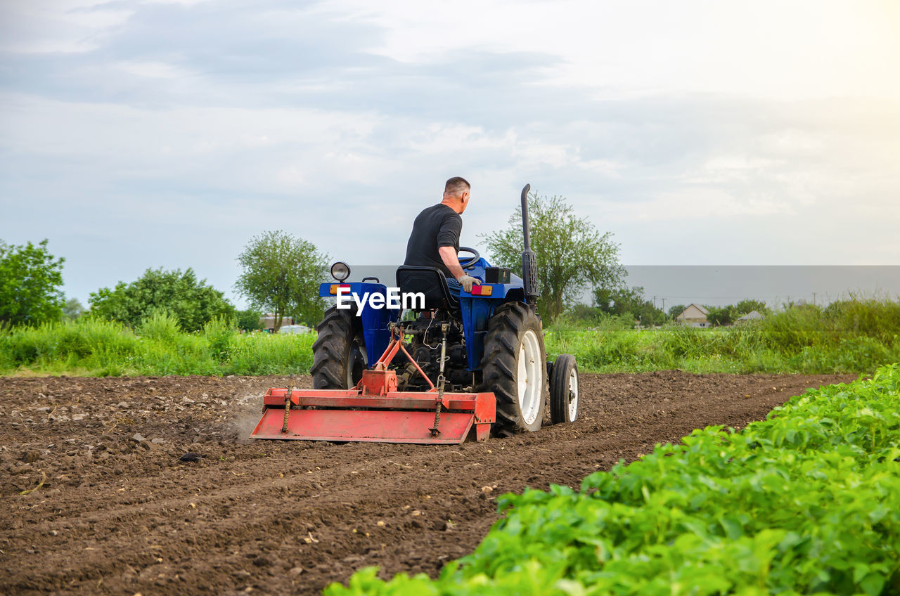 A farmer is cultivating a farm field. milling soil, crushing before cutting rows. loosening 