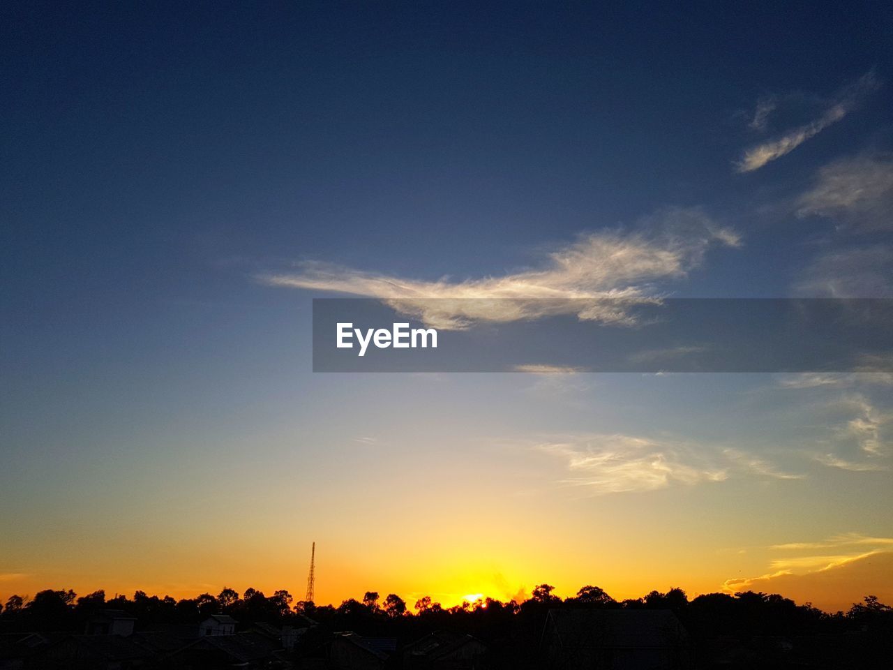 SILHOUETTE TREES AGAINST SKY AT SUNSET