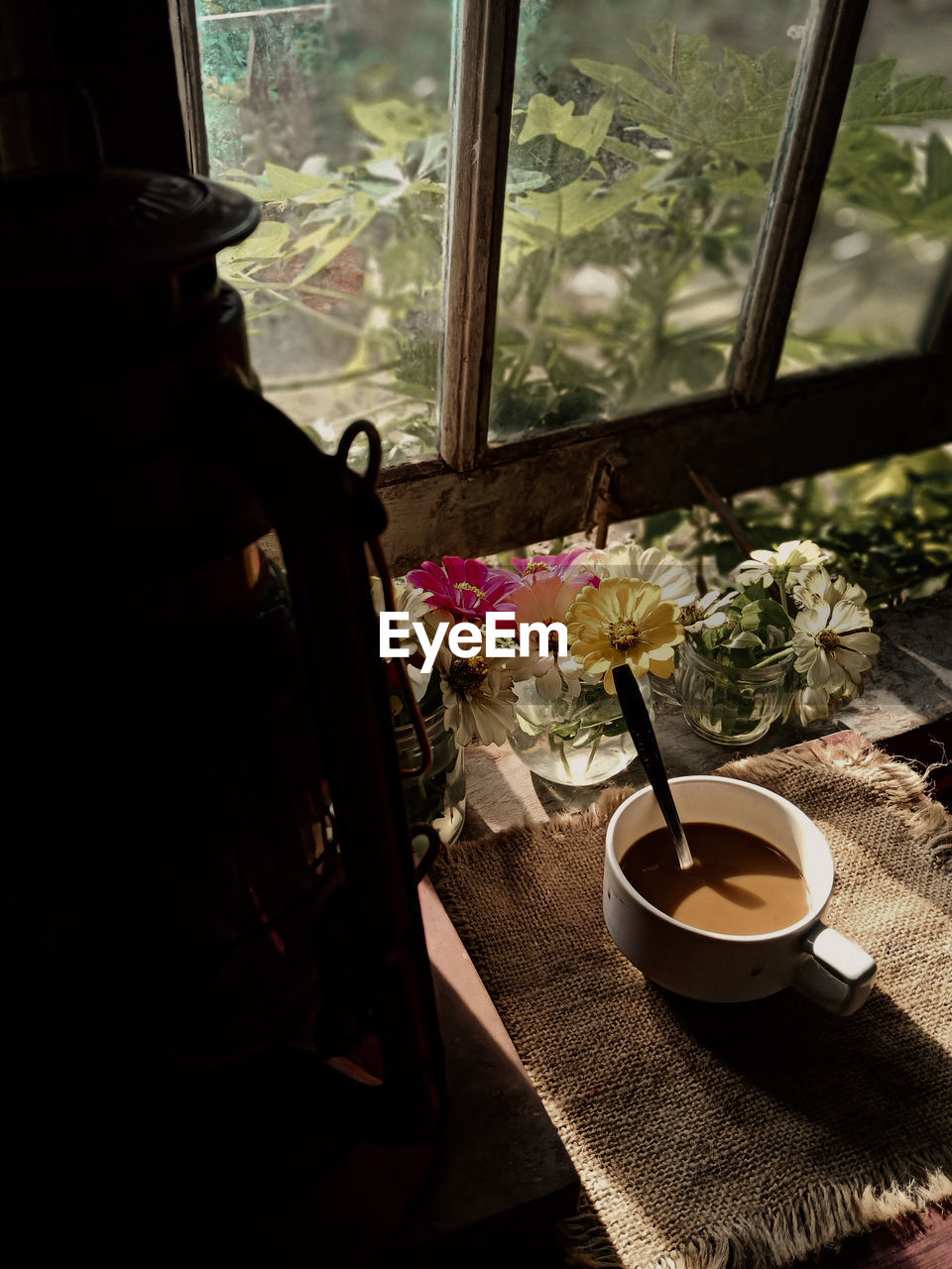 Potted plant and coffee on table