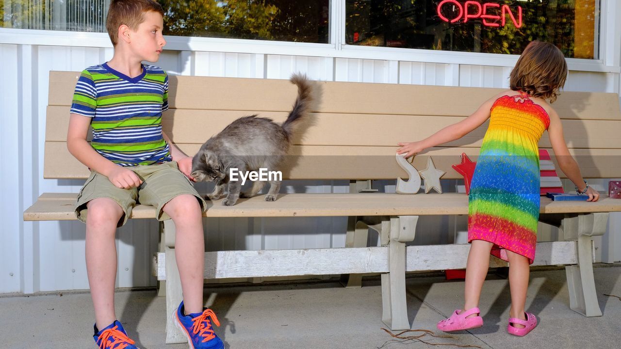 Boy petting cat by sister playing on bench
