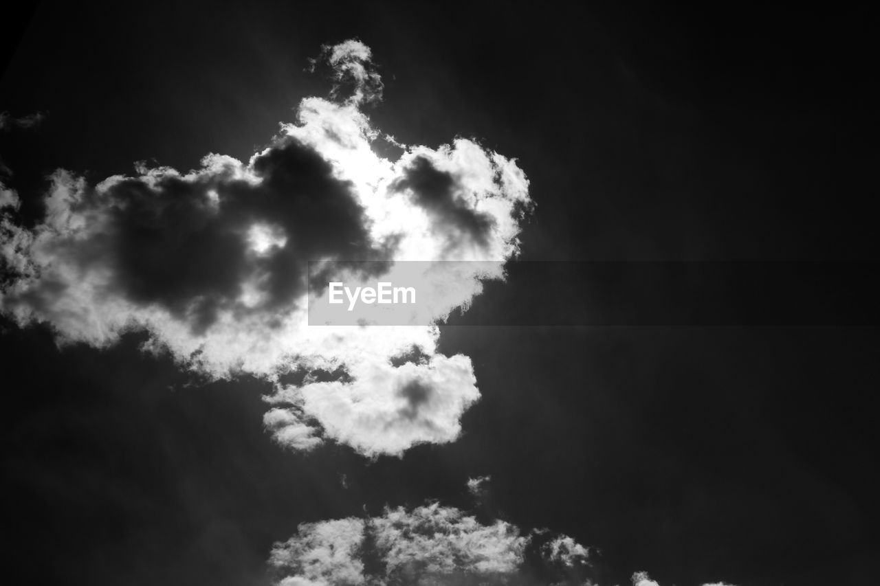 LOW ANGLE VIEW OF SKY OVER TREES