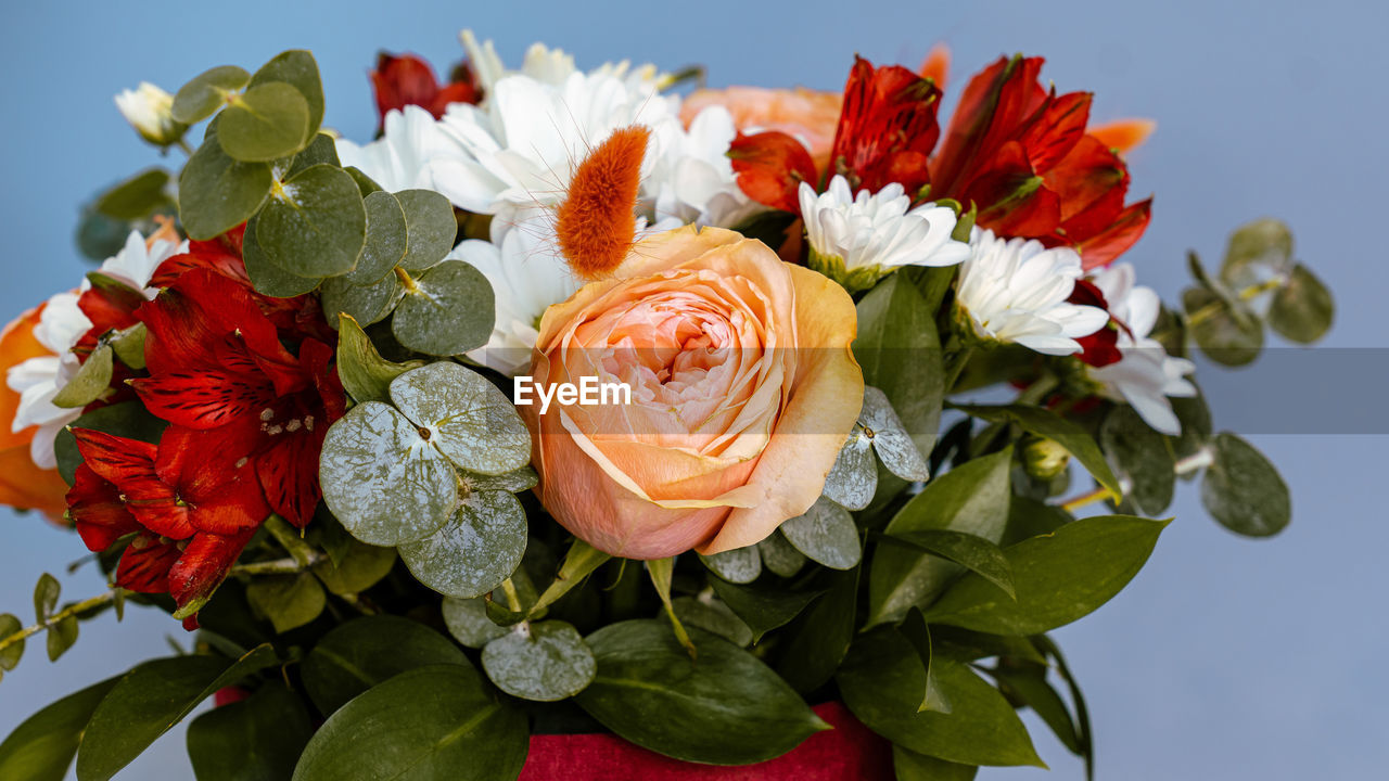 CLOSE-UP OF ROSE BOUQUET AGAINST RED ROSES