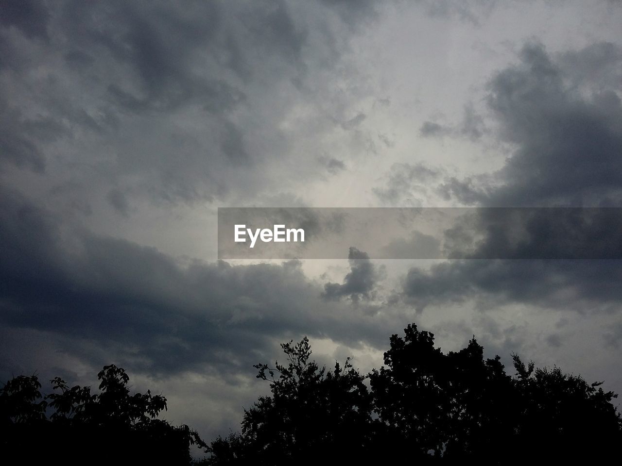 LOW ANGLE VIEW OF SILHOUETTE TREES AGAINST CLOUDS