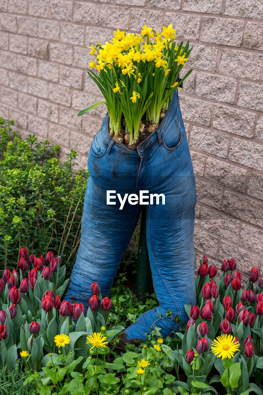 SCENIC VIEW OF FLOWERING PLANT