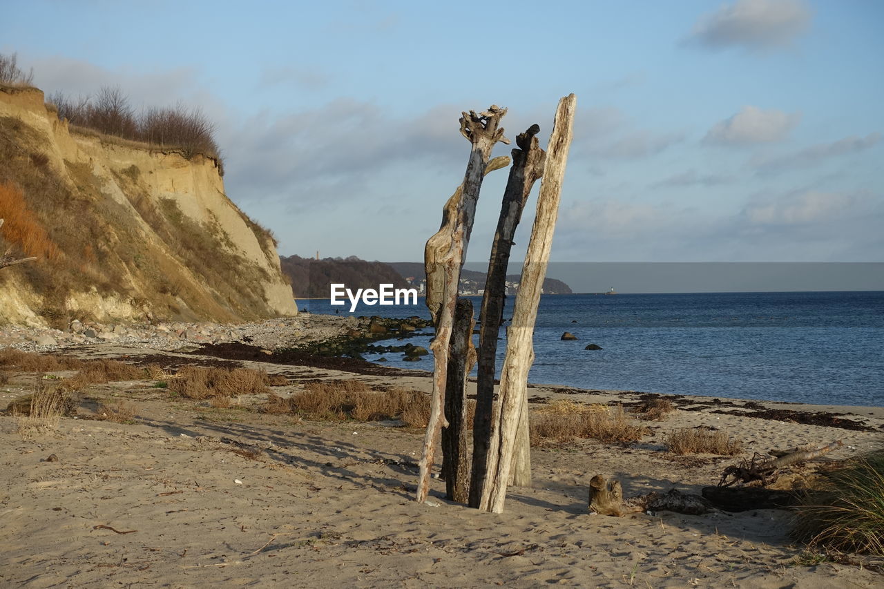 Driftwood on beach against sky