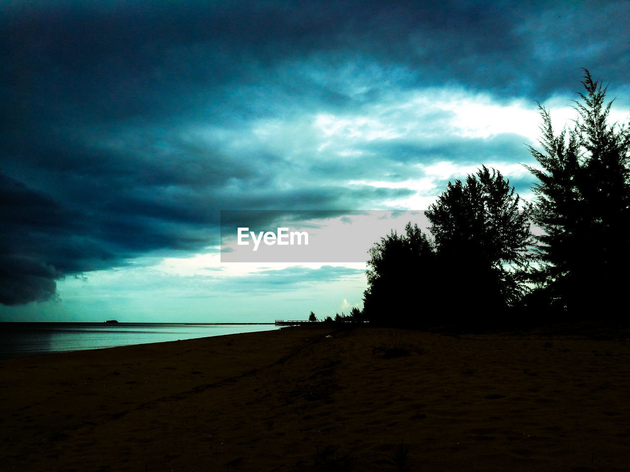 SILHOUETTE OF TREES ON BEACH AGAINST SKY