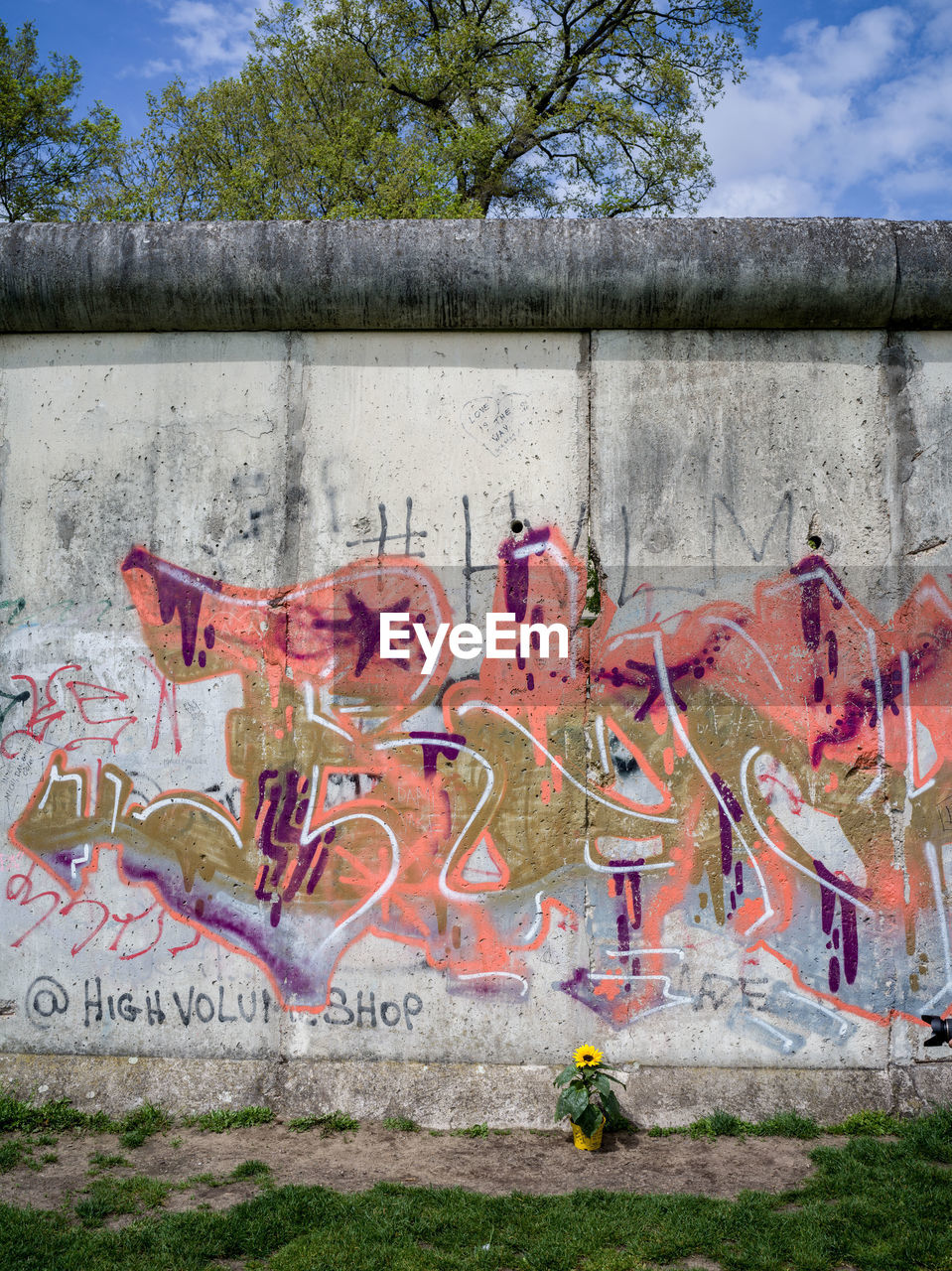 GRAFFITI ON WALL AGAINST TREES IN CITY