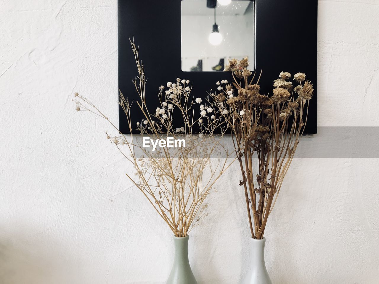 white, lighting, vase, plant, indoors, wall - building feature, no people, flower, nature, home interior, flowerpot, flowering plant, still life, decoration, home, art, architecture