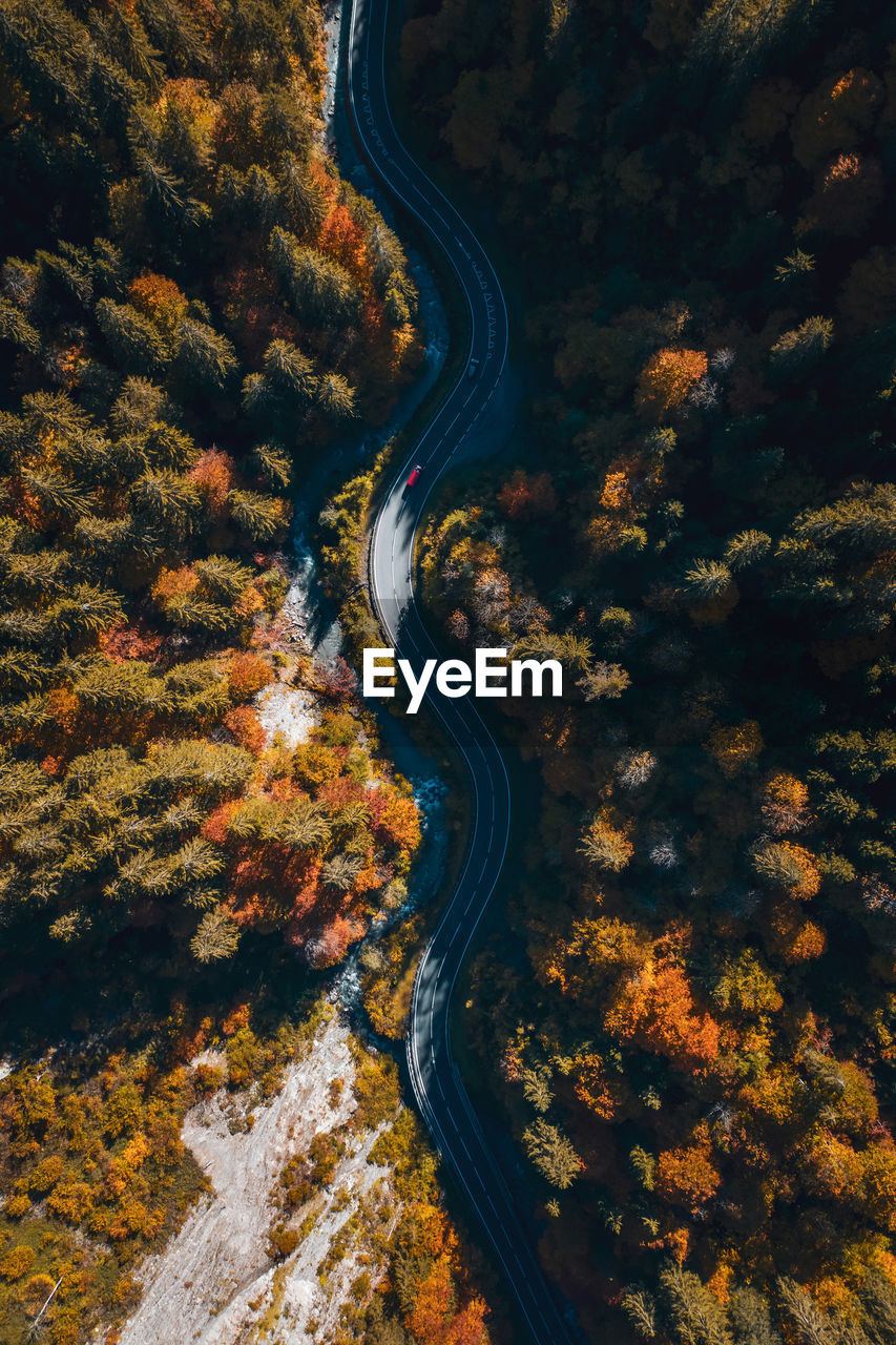 HIGH ANGLE VIEW OF ROAD AMIDST AUTUMN TREES