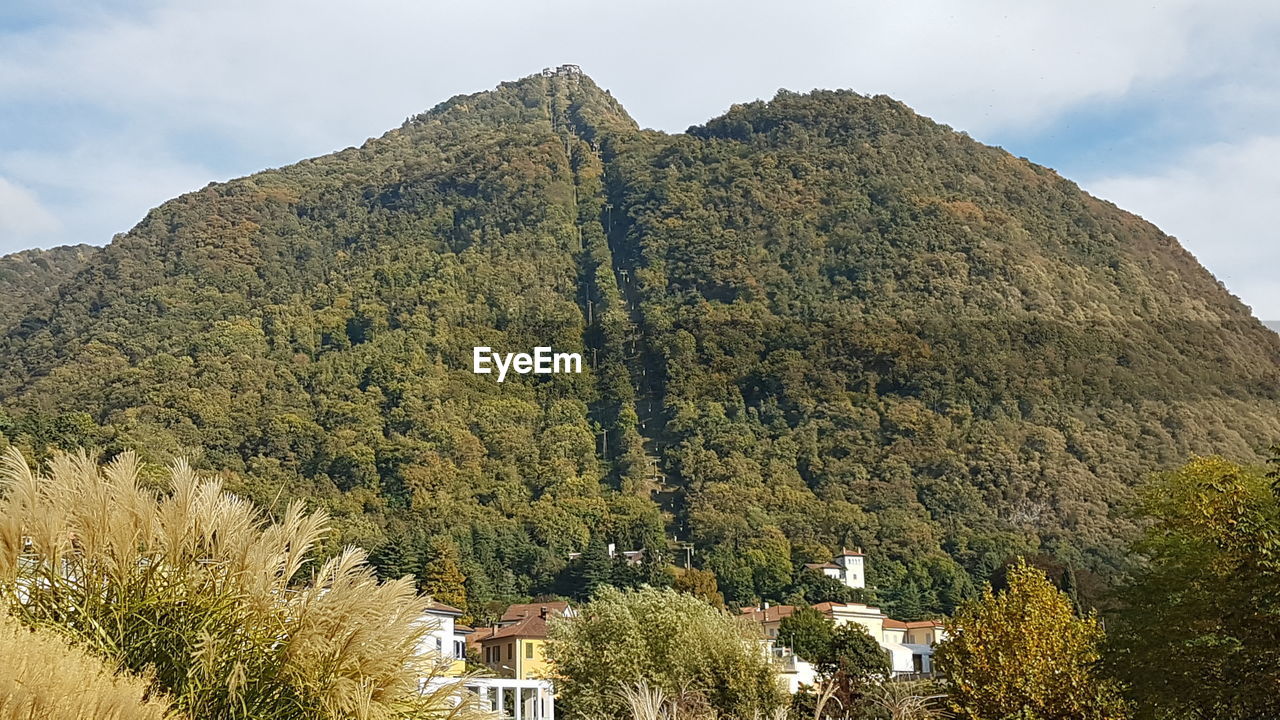 PANORAMIC VIEW OF TREE AND MOUNTAIN AGAINST SKY