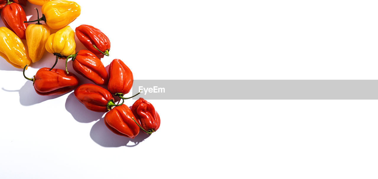 directly above shot of christmas decorations on white background