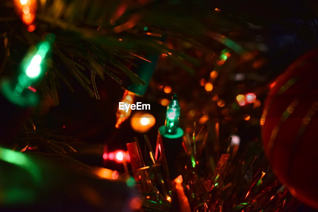 Illuminated christmas tree at night