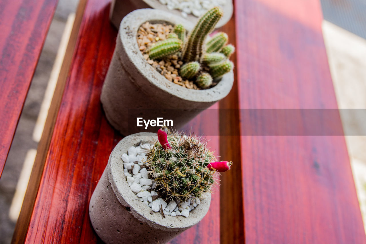 High angle view of potted plants