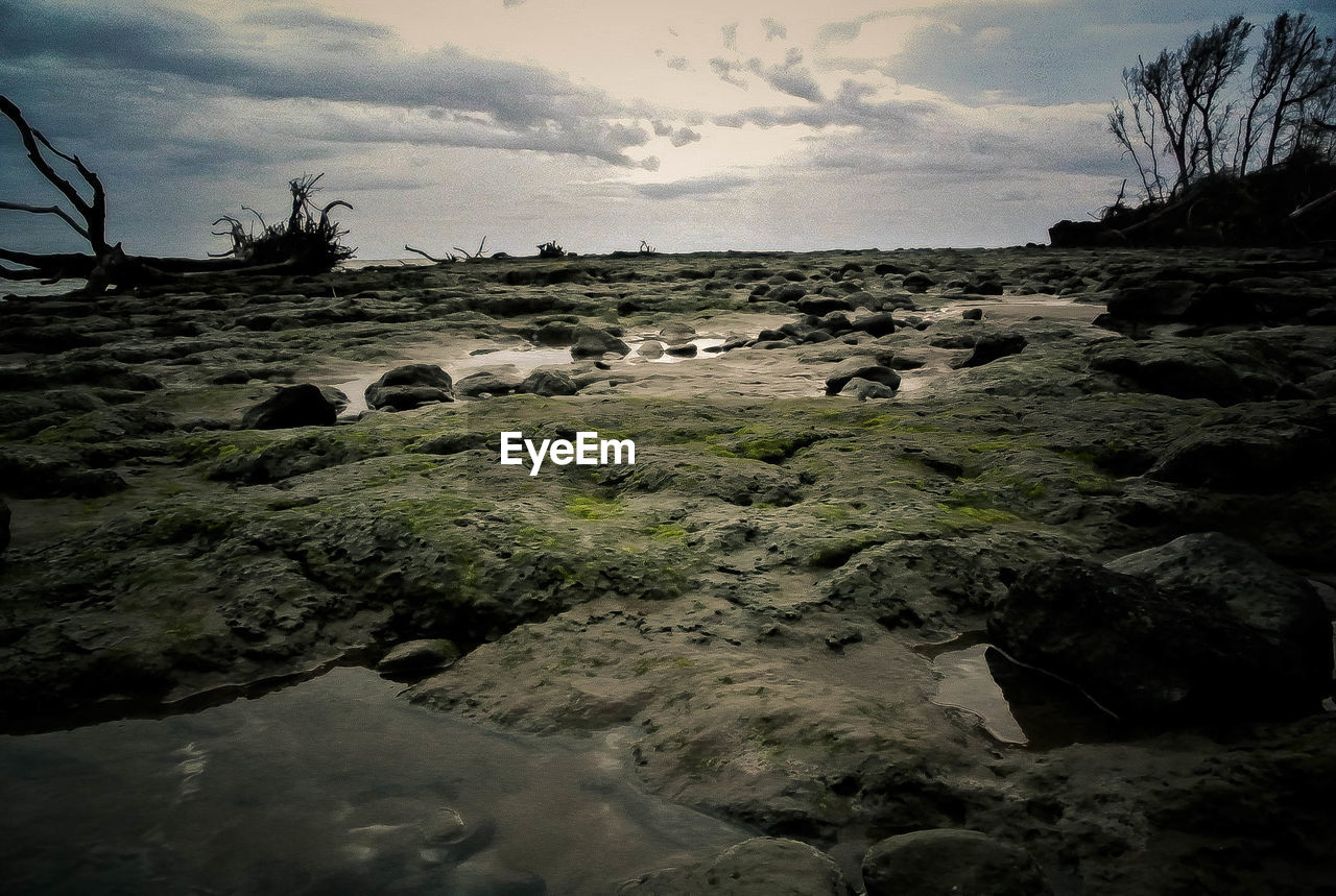 SCENIC VIEW OF ROCKS ON SHORE AGAINST SKY